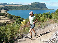 Copyright: New Zealand Tourism Guide. Mizuno Off-Road Half Marathon, Lake Taupo, New Zealand