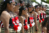 Copyright: New Zealand Tourism Guide. Waitangi Day, New Zealand