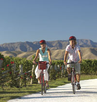 Image Source: Tourism New Zealand. Biking a wine trail, Marlborough, New Zealand