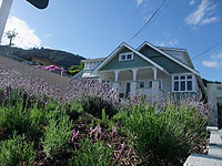 Exterior view of Picton House Bed & Breakfast