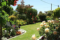 Explore our beautiful Gardens in Hawke's Bay