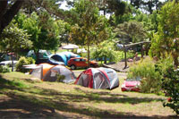 Camping sites at Ahipara Holiday Park