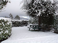 Snow at Fiordland Great Views Holiday Park