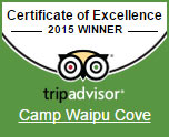 2015 TripAdvisor Excellence Award