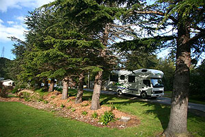 Copyright: Wellington's Kiwi Holiday Park. Wellington's Kiwi Holiday Park, Holiday Park Hutt Valley, Hutt Valley Accommodation