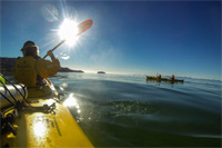 Copyright: Abel Tasman Kayaks. Abel Tasman Kayaks, Kayaking Kaikoura, Kaikoura Tours