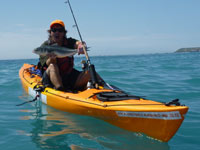 Kaikoura is a great place to fish