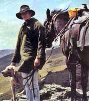 Wanaka Horse Treks