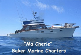 Copyright: Baker Marine Charters. Baker Marine Charters, New Zealand Boat Charter, Fishing Charter Bay of Plenty