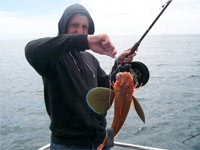 Copyright: Moeraki Fishing Charters. Moeraki Fishing Charters, Fishing Moeraki, New Zealand Fishing Charter