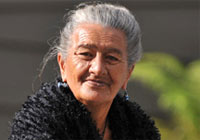 Te Puia Maori culture