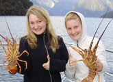 Crayfish in Fiordland