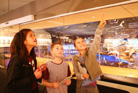 Children completing a Museum Hunt