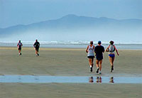 Copyright: New Zealand Tourism Guide. 90 Mile Beach Marathon