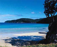 Copyright: New Zealand Tourism Guide. Great Barrier Island, New Zealand