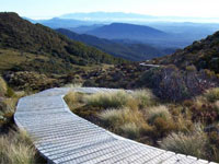 Copyright: New Zealand Tourism Guide. Hump Ridge, Fiordland, New Zealand