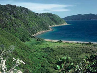 Copyright: New Zealand Tourism Guide. Long Island-Kokomohua Marine Reserve, New Zealand