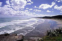 Copyright: New Zealand Tourism Guide. Muriwai Beach, New Zealand