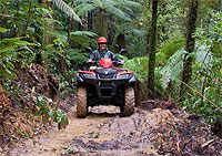 Copyright: New Zealand Tourism Guide. On Yer Bike, Greymouth, New Zealand