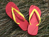 Copyright: New Zealand Tourism Guide. National Jandal Day, New Zealand