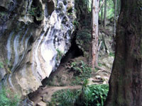Copyright: New Zealand Tourism Guide. Waipu Caves, New Zealand
