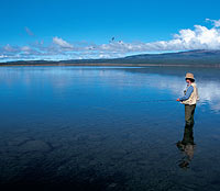Copyright Bob Mcree. Freshwater Fishing in New Zealand, New Zealand Freshwater Fishing, Trout Fishing New Zealand