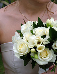 Copyright: Ian Barnard. Weddings in New Zealand, New Zealand Weddings, Honeymoon in New Zealand