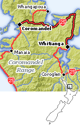 Whitianga - Coromandel