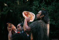 Image Source: Tourism New Zealand. Putatara, a traditional Māori instrument used to announce the arrival of visitors, New Zealand
