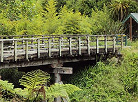 Hauraki Rail Trail, Coromandel, New Zealand