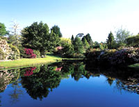 Kimbolton Gardens, Manawatu, New Zealand