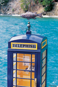 Image Source: Tourism New Zealand. Telephish phonebooth, Marlborough, New Zealand