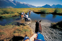Image Source: Tourism New Zealand. Horse Trekking, Glenorchy, Queenstown, New Zealand