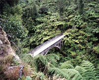 Bridge to Nowhere in Whanganui National Park, Ruapehu, New Zealand