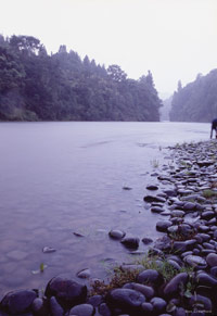 Image Source: Tourism New Zealand. Whanganui River, Wanganui, New Zealand