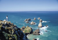Image Source: Tourism New Zealand. Nugget Point, Southland, New Zealand