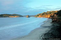 Image Source: Tourism New Zealand. Ringaringa Beach, Stewart Island, Southland, New Zealand