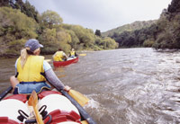 Image Source: Tourism New Zealand. Canadian canoeing safari on the Whanganui River, Wanganui, New Zealand