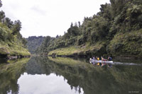 Image Source: Tourism New Zealand. Canoeing safari on the Whanganui River, Wanganui, New Zealand