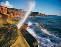 Image Source: Tourism New Zealand. Blowholes at Punakaiki Pancake Rocks, West Coast, New Zealand
