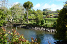 Rotorua Festival of Gardens