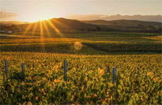 What There Is to See and Do In... Marlborough