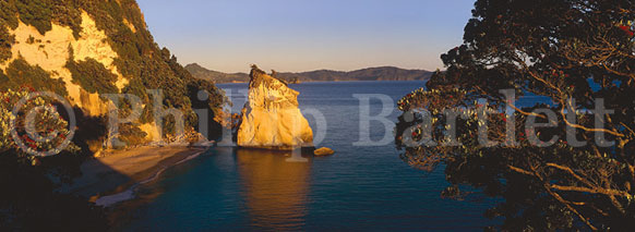 Copyright: Phillip Bartlett. Cathedral Cove, Whitianga, North Island, New Zealand