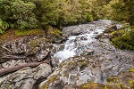 Image of THE CHASM WALK - Fiordland National Park