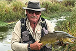 A trout caught on a Wild Trout Adventure in Hawke's Bay