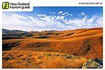 Otago Postcard