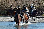 Horse trek with Waimak River Riding Centre