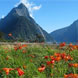 Video Tour of New Zealand