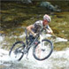 New Zealand Travel and Tourism News