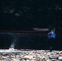 Copyright: Rob Suisted. Fishing in New Zealand, New Zealand Fishing, New Zealand Fishing